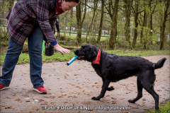 0425-CopyrightFOTOFLEX23032019