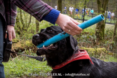 0432-CopyrightFOTOFLEX23032019