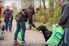 0438-CopyrightFOTOFLEX23032019