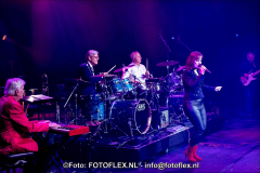 0291-CopyrightFOTOFLEX.NL07012020