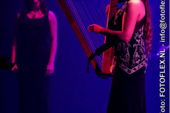 0360-CopyrightFOTOFLEX.NL07012020