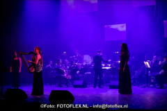 0361-CopyrightFOTOFLEX.NL07012020