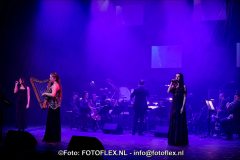 0363-CopyrightFOTOFLEX.NL07012020