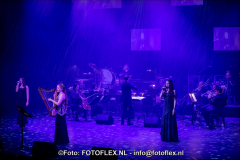 0367-CopyrightFOTOFLEX.NL07012020