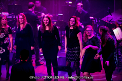 0404-CopyrightFOTOFLEX.NL07012020