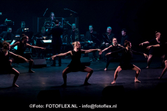 0543-CopyrightFOTOFLEX.NL07012020