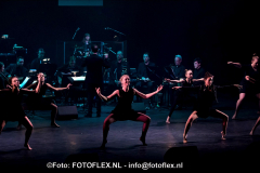 0545-CopyrightFOTOFLEX.NL07012020