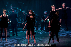 0563-CopyrightFOTOFLEX.NL07012020