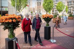 081-CopyrightFOTOFLEX.NL-26042025