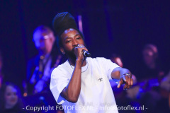 4938-CopyrightFOTOFLEX.NL-11012023