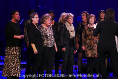 4969-CopyrightFOTOFLEX.NL-11012023