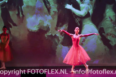 4981-CopyrightFOTOFLEX.NL-11012023