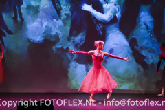 4982-CopyrightFOTOFLEX.NL-11012023