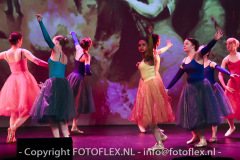 4985-CopyrightFOTOFLEX.NL-11012023