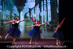 4994-CopyrightFOTOFLEX.NL-11012023