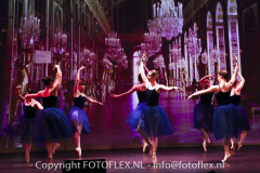 5001-CopyrightFOTOFLEX.NL-11012023