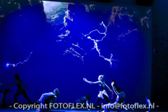 5300-CopyrightFOTOFLEX.NL-11012023