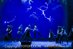 5305-CopyrightFOTOFLEX.NL-11012023