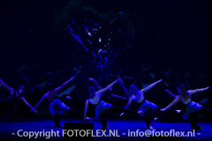 5329-CopyrightFOTOFLEX.NL-11012023