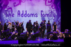 5382-CopyrightFOTOFLEX.NL-11012023