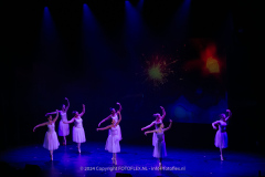 2764-CopyrightFOTOLEX.NL-10012024