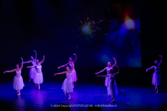 2765-CopyrightFOTOLEX.NL-10012024