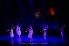 2766-CopyrightFOTOLEX.NL-10012024