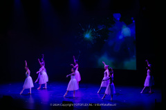 2767-CopyrightFOTOLEX.NL-10012024