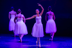 2769-CopyrightFOTOLEX.NL-10012024