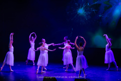 2772-CopyrightFOTOLEX.NL-10012024