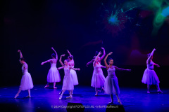 2773-CopyrightFOTOLEX.NL-10012024