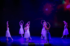 2775-CopyrightFOTOLEX.NL-10012024