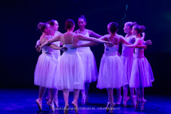 2776-CopyrightFOTOLEX.NL-10012024