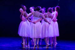 2777-CopyrightFOTOLEX.NL-10012024