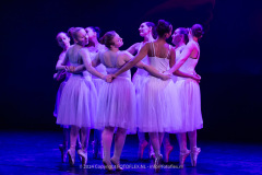 2778-CopyrightFOTOLEX.NL-10012024