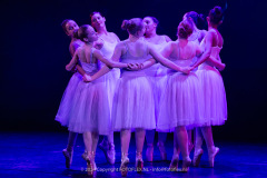 2779-CopyrightFOTOLEX.NL-10012024