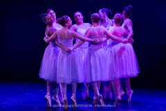 2780-CopyrightFOTOLEX.NL-10012024