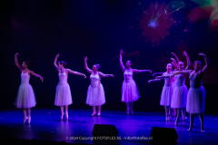 2782-CopyrightFOTOLEX.NL-10012024