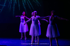 2783-CopyrightFOTOLEX.NL-10012024