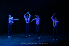 2834-CopyrightFOTOLEX.NL-10012024