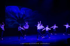 2848-CopyrightFOTOLEX.NL-10012024