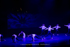 2850-CopyrightFOTOLEX.NL-10012024