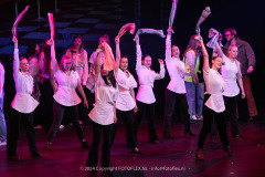 2876-CopyrightFOTOLEX.NL-10012024