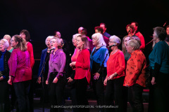 2894-CopyrightFOTOLEX.NL-10012024