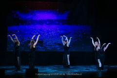 2912-CopyrightFOTOLEX.NL-10012024