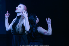 2917-CopyrightFOTOLEX.NL-10012024