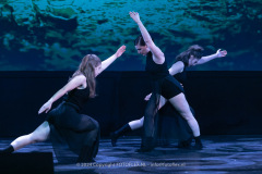 2922-CopyrightFOTOLEX.NL-10012024