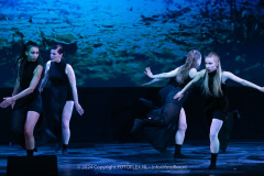 2926-CopyrightFOTOLEX.NL-10012024