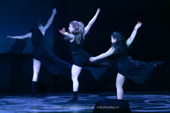 2931-CopyrightFOTOLEX.NL-10012024