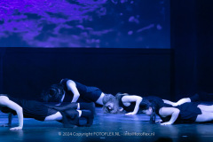 2934-CopyrightFOTOLEX.NL-10012024